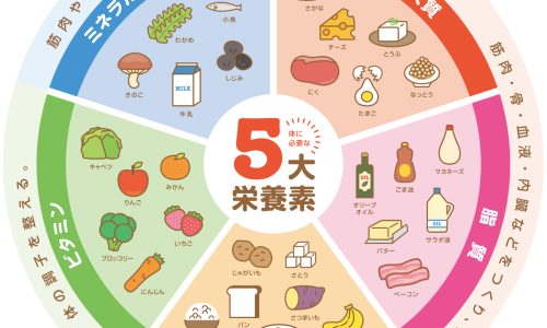 【ダイエット】エネルギー生産に関わる重要な栄養素について知ろう【夏バテ防止】