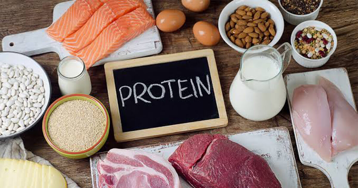 タンパク質の重要性