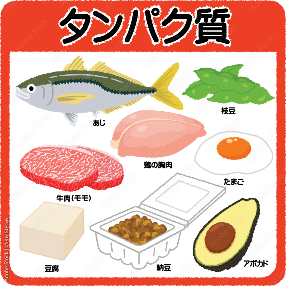 どうやってタンパク質を摂ればいいの？