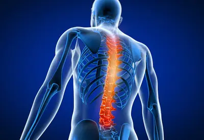 可動性が低いと腰痛や背中の不調に？今すぐ始めたい柔軟性アップ習慣